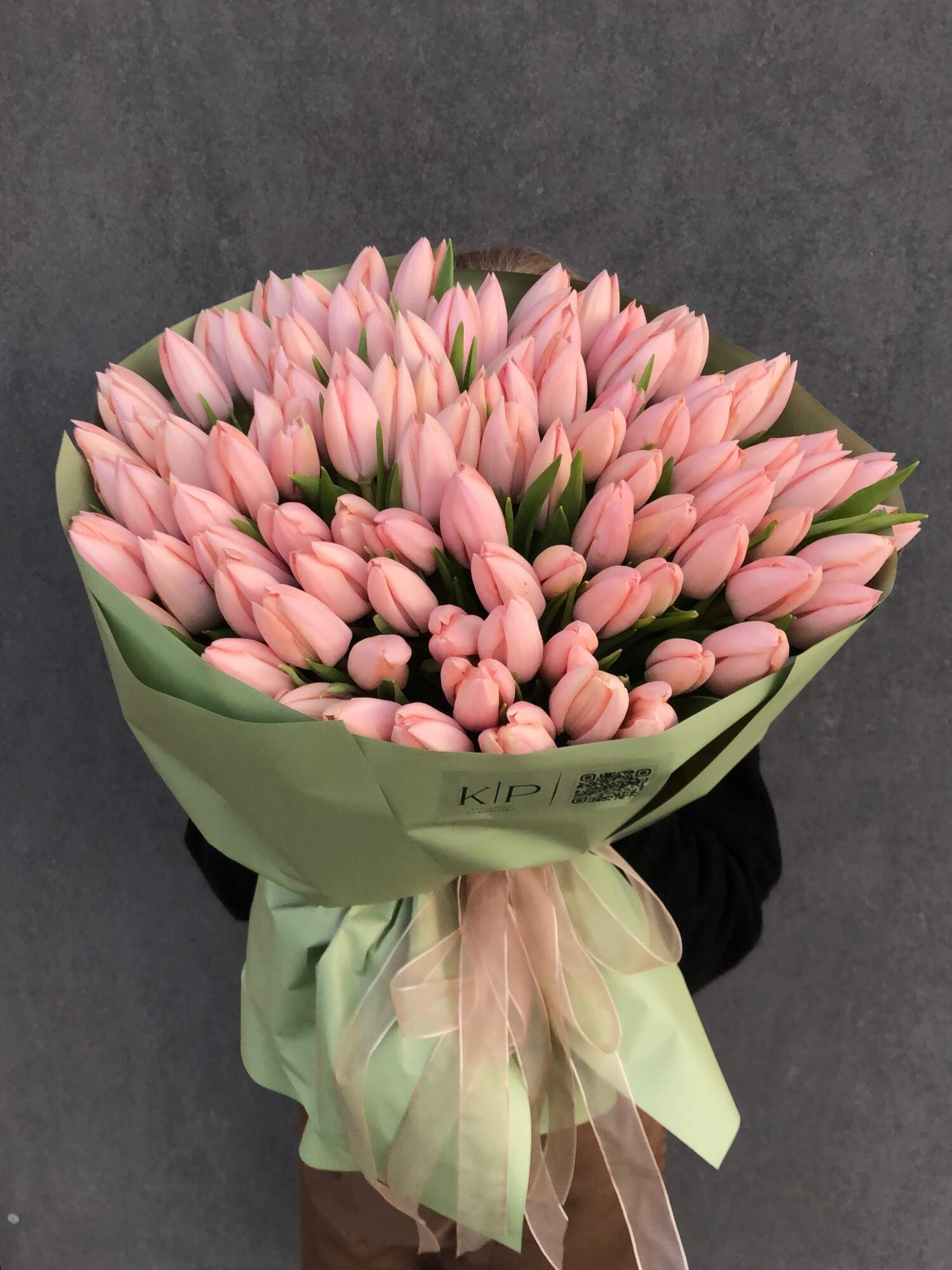 81 TULIPANU